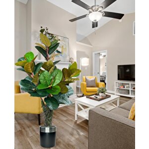 Yapay Ağaç Kauçuk Ağacı Metal Gümüş Kemerli Saksıda Ficus Elastica Salon Çiçeği 150*90 61 Yaprak