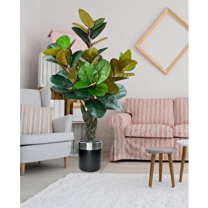 Yapay Ağaç Kauçuk Ağacı Metal Gümüş Kemerli Saksıda Ficus Elastica Salon Çiçeği 150*90 61 Yaprak