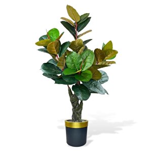 Yapay Ağaç Kauçuk Ağacı Metal Gold Kemerli Saksıda Ficus Elastica Salon Çiçeği 150*90 61 Yaprak