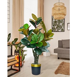Yapay Ağaç Kauçuk Ağacı Metal Gold Kemerli Saksıda Ficus Elastica Salon Çiçeği 150*90 61 Yaprak