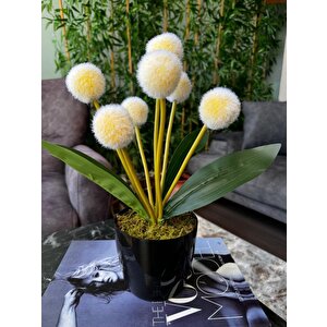 Yapay Çiçek Sarı Pompon Siyah Saksıda Dekoratif Yapay Çiçek 30*20cm