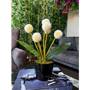 Yapay Çiçek Sarı Pompon Siyah Saksıda Dekoratif Yapay Çiçek 30*20cm