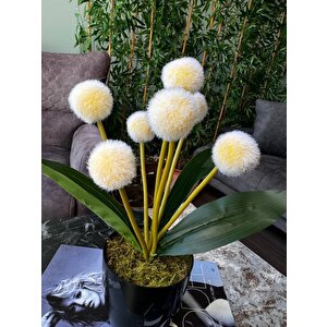 Yapay Çiçek Sarı Pompon Siyah Saksıda Dekoratif Yapay Çiçek 30*20cm