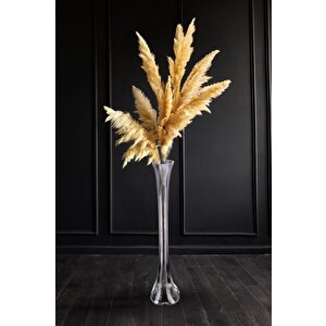 Fil Ayağı Cam Dekoratif Vazo 80 Cm C1-1-288