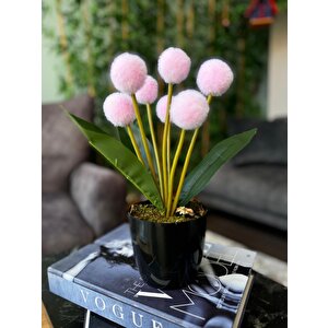 Yapay Çiçek Pembe Pompon Siyah Saksıda Dekoratif Yapay Çiçek 30*20cm