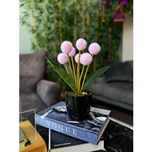 Yapay Çiçek Pembe Pompon Siyah Saksıda Dekoratif Yapay Çiçek 30*20cm