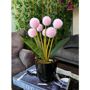 Yapay Çiçek Pembe Pompon Siyah Saksıda Dekoratif Yapay Çiçek 30*20cm