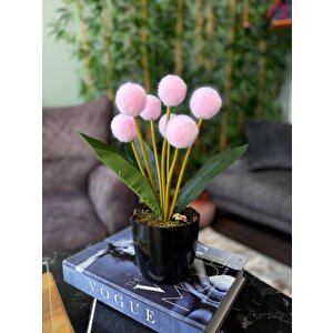 Yapay Çiçek Pembe Pompon Siyah Saksıda Dekoratif Yapay Çiçek 30*20cm