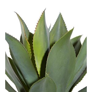 Yapay Ağaç Agave Ağacı 3gövdeli 160 Cm Premium Kalite
