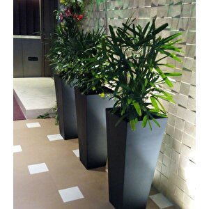 Fiber Saksı Antrasit Dik Dörtgen Vazo Dekoratif Saksı Fiberglas 25*25*50cm