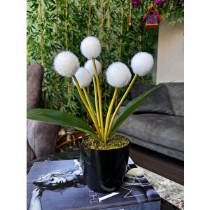 Yapay Çiçek Beyaz Pompon Siyah Saksıda Dekoratif Yapay Çiçek 30*20cm