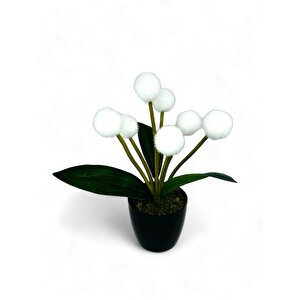 Yapay Çiçek Beyaz Pompon Siyah Saksıda Dekoratif Yapay Çiçek 30*20cm