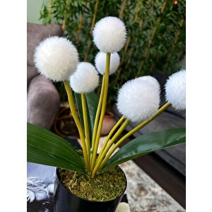 Yapay Çiçek Beyaz Pompon Siyah Saksıda Dekoratif Yapay Çiçek 30*20cm