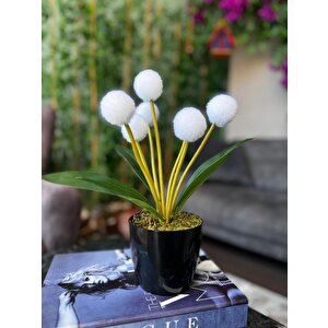 Yapay Çiçek Beyaz Pompon Siyah Saksıda Dekoratif Yapay Çiçek 30*20cm