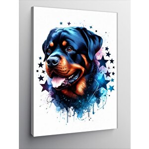 Kanvas Tablo Yıldızlar Ve Köpek
