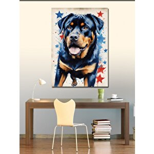 Kanvas Tablo Yıldızlar Ve Köpek