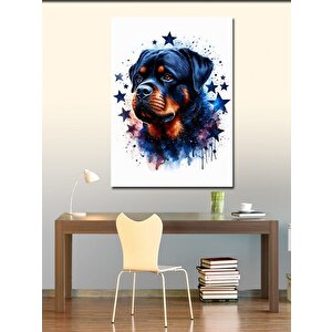 Kanvas Tablo Yıldız Ve Köpek
