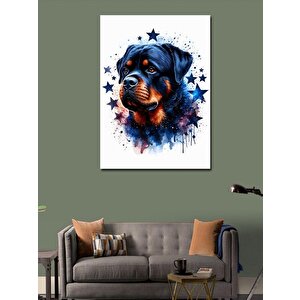 Kanvas Tablo Yıldız Ve Köpek