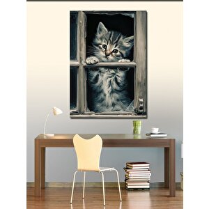 Kanvas Tablo Penceredeki Yavru Kedi 70x100 cm
