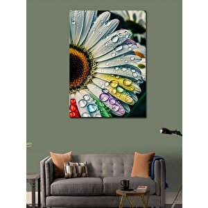 Kanvas Tablo Papatya Ve Renkler 70x100 cm