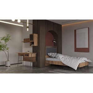 Arion Full Öğrenci Paketi