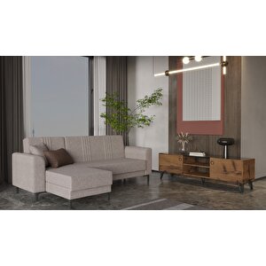 Arion Full Öğrenci Paketi