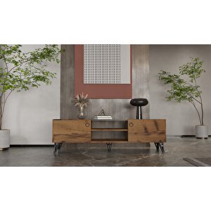Arion Full Öğrenci Paketi