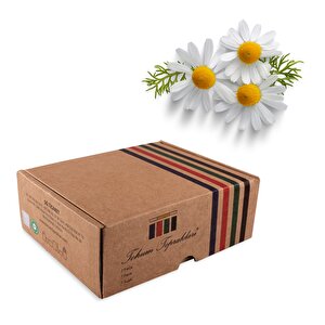 Çiçek Yetiştirme Seti  Leucanthemum maximum  (Margrit Papatya) Kahverengi