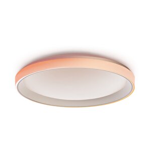 Akıllı Tavan Aydınlatma Renkli T1m Cl-l02d (apple Home Destekli)