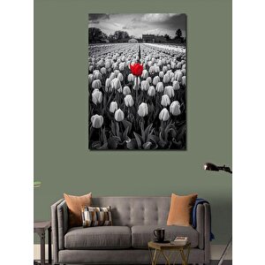 Kanvas Tablo Beyaz Çiçeklerin Arasındaki Kırmızı Çiçek 100x140 cm