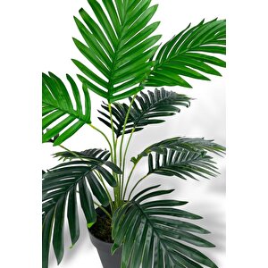 Yapay Ağaç Salon Bitkisi Areka Palmiye Siyah Saksıda 60cm 12 Yaprak Plastik