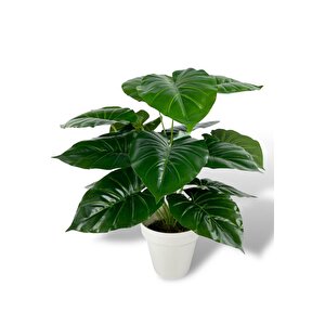 Yapay Çiçek Krem Saksıda Pothos Yeşil Doğal Dokulu 18dal 50cm Salon Çiçeği Yapay Bitki
