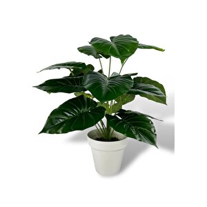 Yapay Çiçek Krem Saksıda Pothos Yeşil Doğal Dokulu 18dal 50cm Salon Çiçeği Yapay Bitki