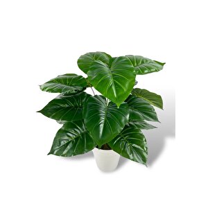 Yapay Çiçek Krem Saksıda Pothos Yeşil Doğal Dokulu 18dal 50cm Salon Çiçeği Yapay Bitki