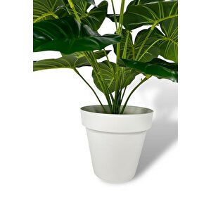 Yapay Çiçek Krem Saksıda Pothos Yeşil Doğal Dokulu 18dal 50cm Salon Çiçeği Yapay Bitki