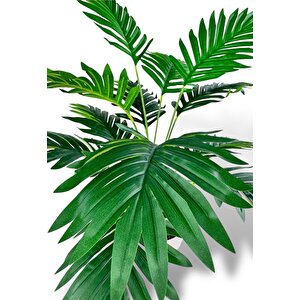 Yapay Ağaç Salon Bitkisi Areka Palmiye Krem Saksıda 60cm 12 Yaprak Plastik