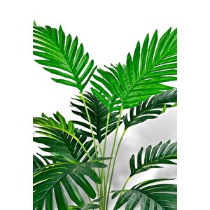 Yapay Ağaç Salon Bitkisi Areka Palmiye Krem Saksıda 60cm 12 Yaprak Plastik