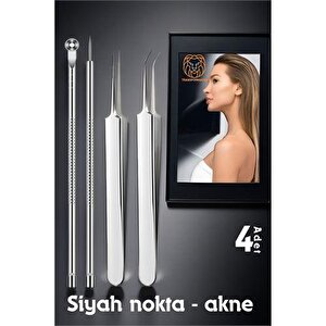 Transformacion Nano Komedon Cımbız 4 Lü Set Çelik Absolute Professional 720384