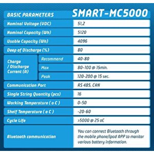 Megacell 51,2v 100ah Lifepo4 Lityum Demir Fosfat Akü(smart/haberleşmeli)