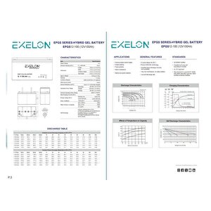 Teknovasyon Arge - Exelon 12 Volt 100 Amper Jel Akü Derin Döngü deep cycle