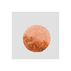 Glacier Tatli Sunum Tabak 21cm