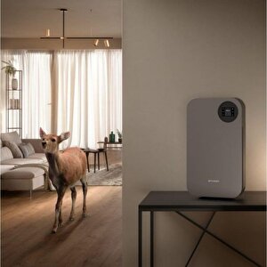 Faber Fbf Ph 1020 Titanyum Air Hub Portable Hava Temizleyicisi