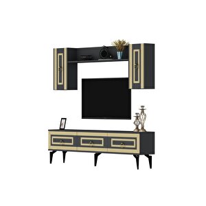 Karya 180 Cm Tv Ünitesi Antrasit Altın