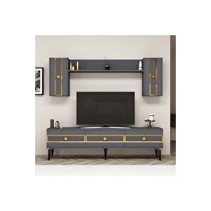 Norra 180 Cm Tv Üni̇tesi̇ Antrasi̇t-altin Altın