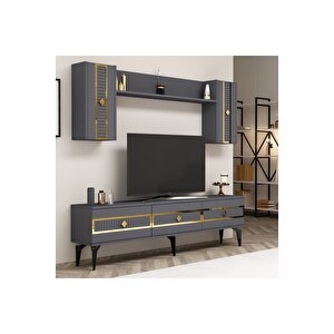 Norra 180 Cm Tv Üni̇tesi̇ Antrasi̇t-altin Altın