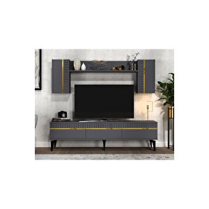 Deffne 180 Cm Tv Ünitesi Takımı Antrasit-altın Altın