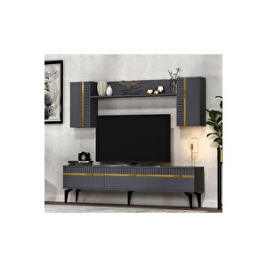 Deffne 180 Cm Tv Ünitesi Takımı Antrasit-altın Altın
