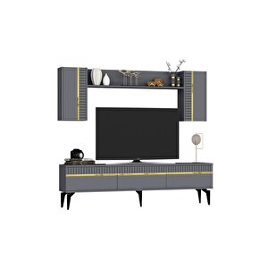 Deffne 180 Cm Tv Ünitesi Takımı Antrasit-altın