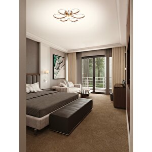 Papatya Modern Avize Led 49w 53x53cm Alüminyum Profil Bakır Dorbien-ar-6112-6bkr