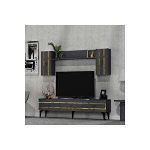 İpek 180 Cm Tv Ünitesi Takımı Antrasit-altın Altın